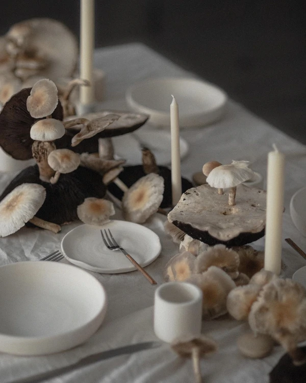 Our Ultimate Guide to Planning a Sustainable Wedding