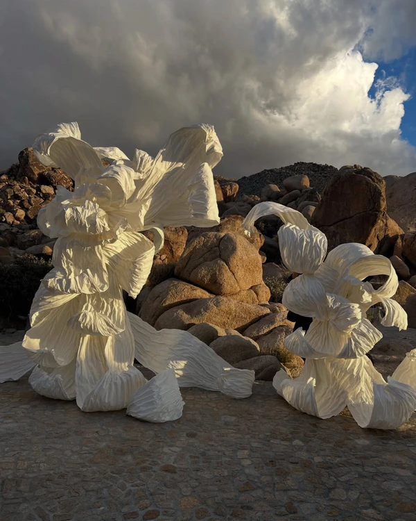 Cloud Dancer: Pantone's 2026 Color of The Year