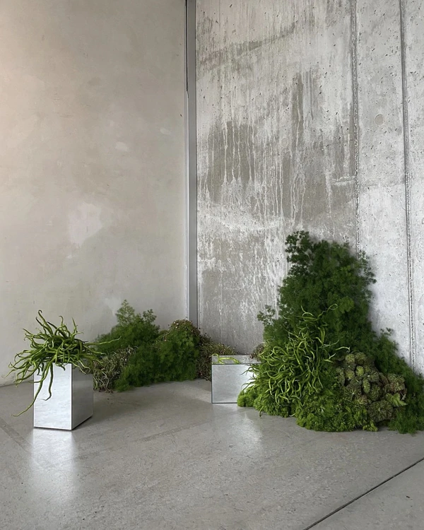 Trend: Overgrown Foliage Installations