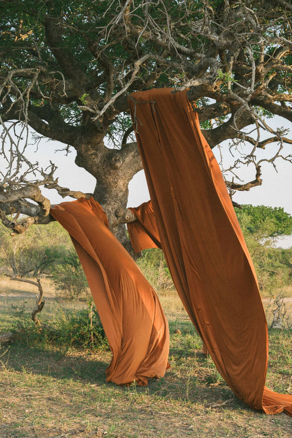 A Wildly Romantic Safari Wedding Weekend in the Heart of South Africa