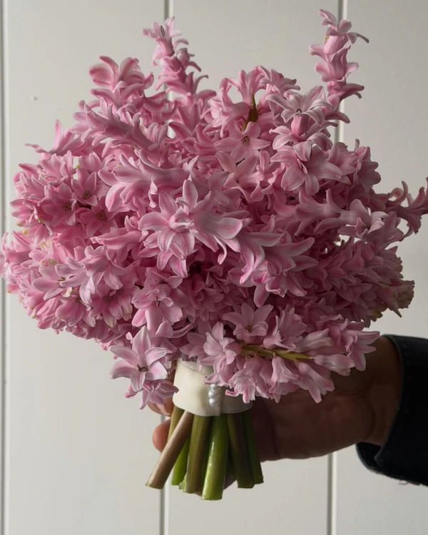 <a href="https://www.instagram.com/p/DW3dMq4GMT0/?img_index=1"><span>Flowers St. Germain</span></a>