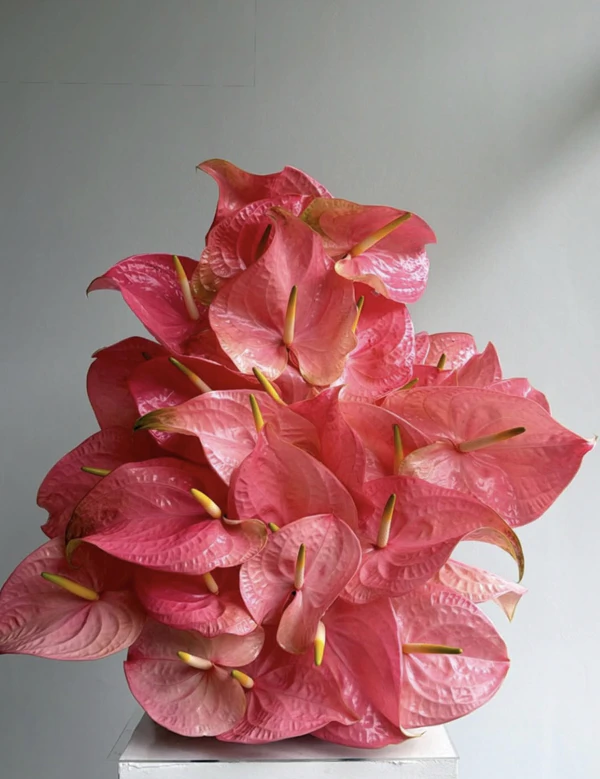 <a href="https://www.instagram.com/p/DXUtP4yDcNg/"><span>Sunnie Art Flowers</span></a>