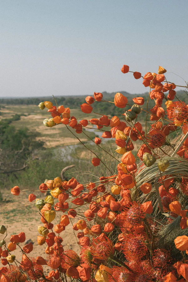 A Wildly Romantic Safari Wedding Weekend in the Heart of South Africa