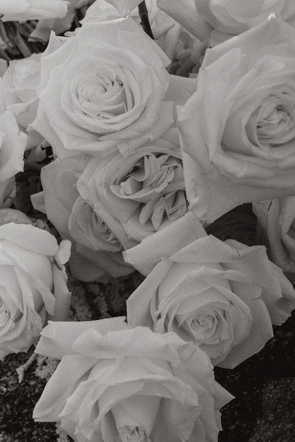 A Dreamlike Siren-Inspired Wedding With Oceanic Details in California