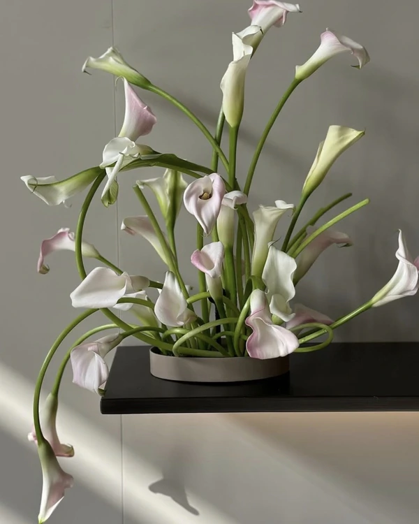 38 Calla Lily Arrangement Ideas