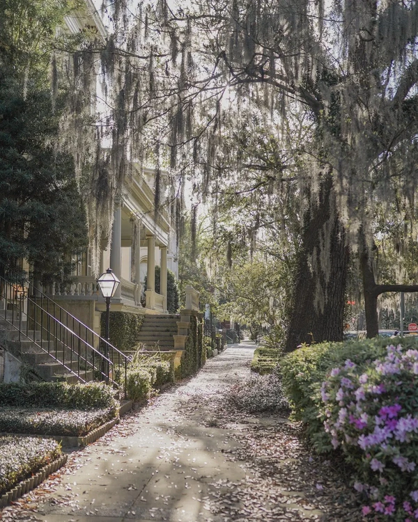 7 Best Honeymoon Destinations in the USA