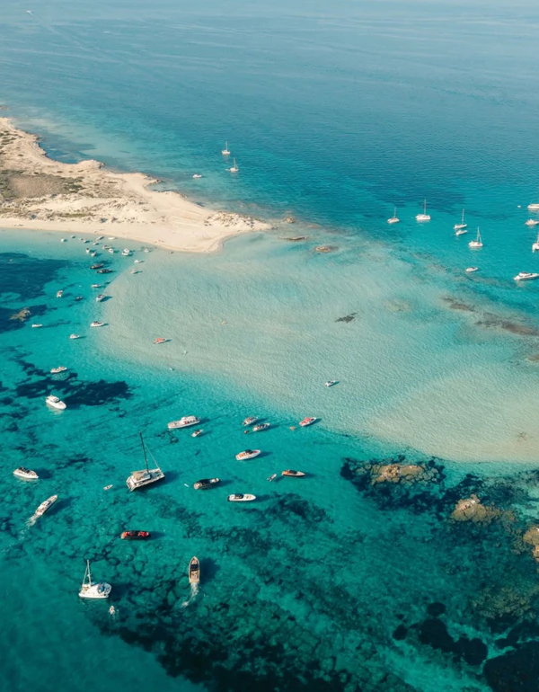 <a href="https://www.instagram.com/p/DcDrR6HCM3Z/?hl=en&img_index=1">Gecko Formentera</a>
