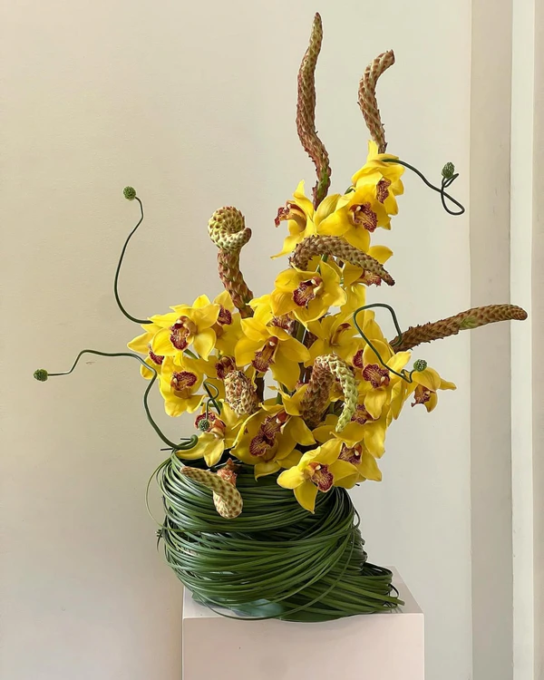 <a href="https://www.instagram.com/p/DVql07iAkgC/?img_index=1">Gosha Flowers</a>