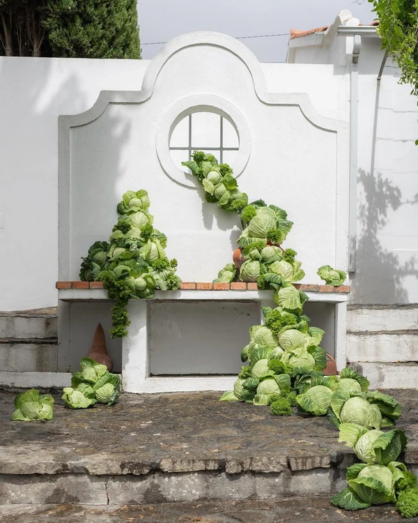 Event Design with Vegetables