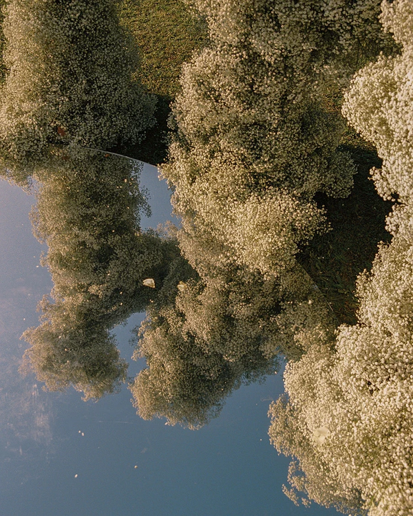 Behind The Lens: Inside the Artistry of Photographer Alice Vicente