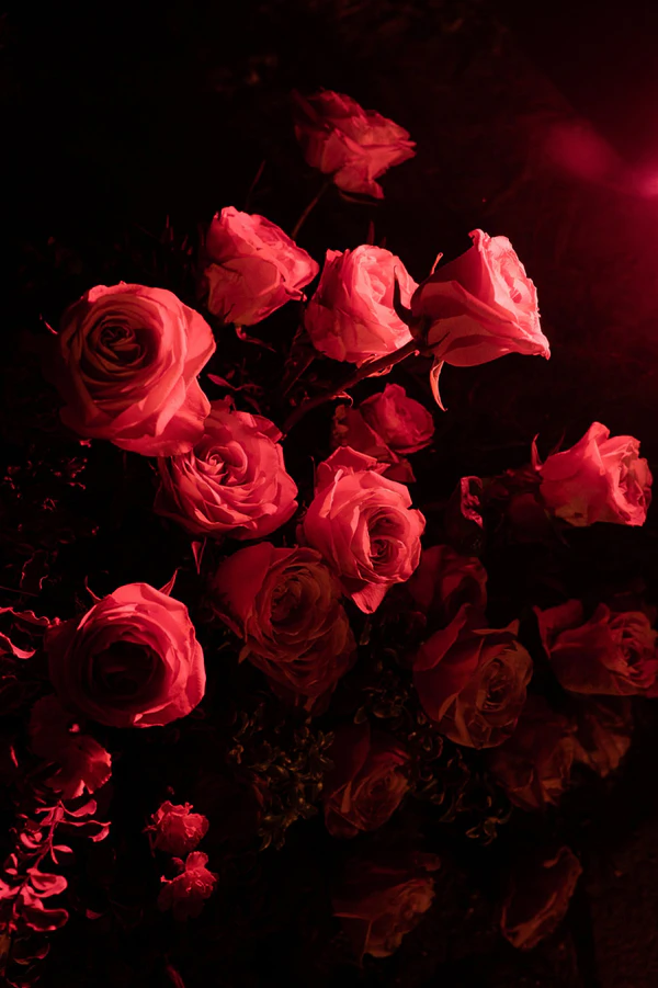 Lato Photography, wedding photographers in Italy, Europe — award
