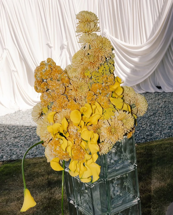 <a href="https://www.instagram.com/p/DVJ76voDFcY/?img_index=1">Ash + Oak</a>, Photography: <a href="https://www.instagram.com/mashaida.co/">Mashaida</a>