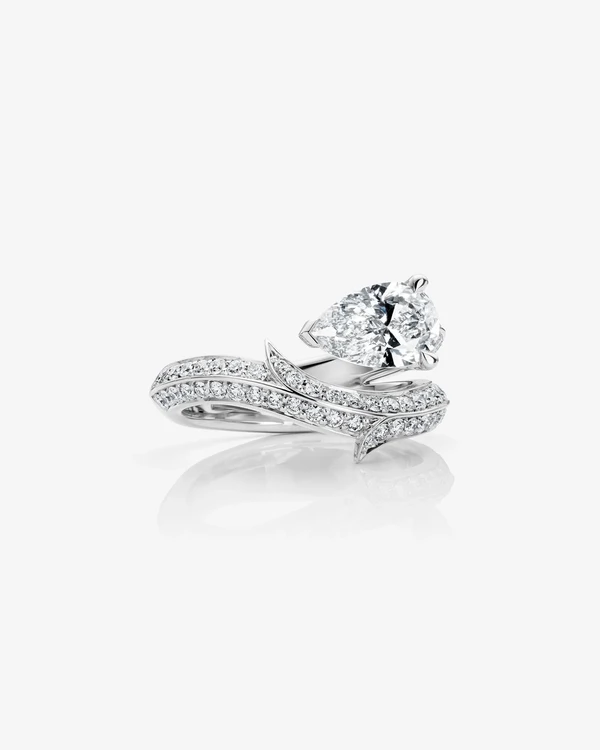 <a href="https://www.stephenwebster.com/en-us/collections/engagement-rings/products/thorn-floating-solitaire-pave-ring-platinum-white-diamond">STEPHEN WEBSTER Ring</a>, $19,000