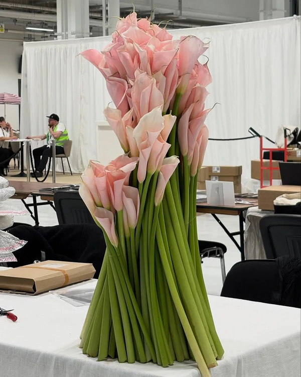 <a href="https://www.instagram.com/p/DYgtSU9DUtP/?img_index=1">Blooms Uncut</a>