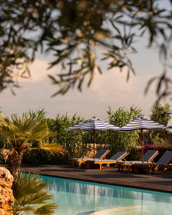 <a href="https://www.instagram.com/masseriatorrecoccaro/p/DbLnoYDDVV9/?img_index=2">Masseria Torre Coccaro</a>