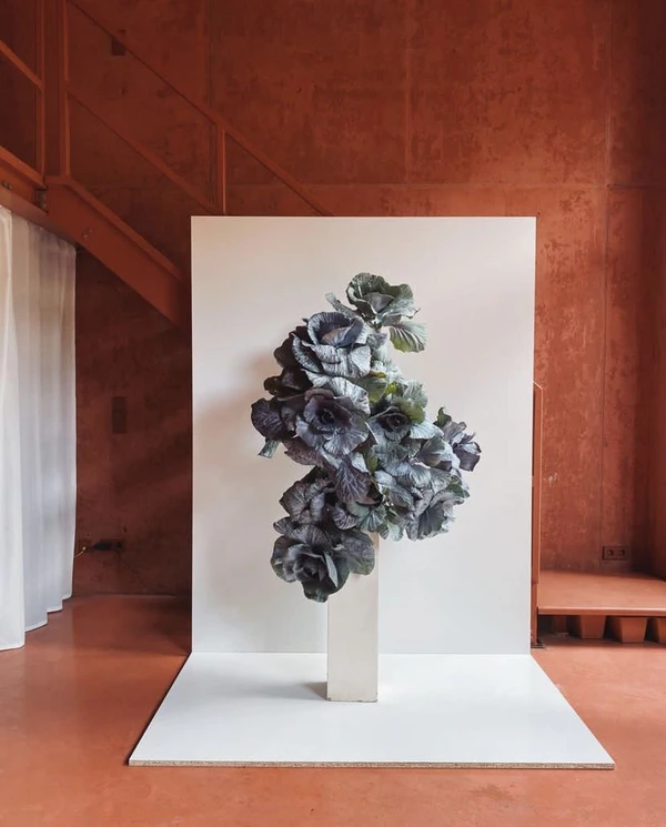 Pinterest Predicts: 11 Wedding Decor Trends Set to Define 2026