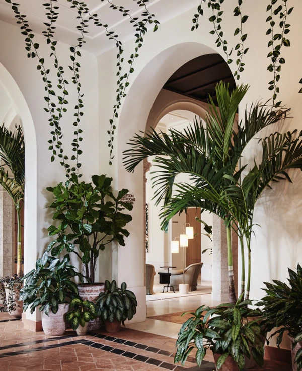 10 Best Wedding Venues in South Florida