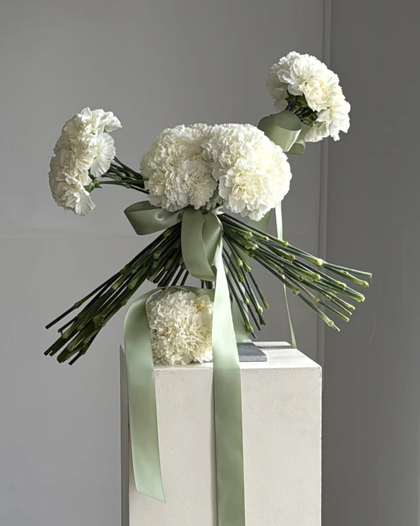 <a href="https://www.instagram.com/p/DYjU7W_kUEg/?img_index=1">Evolve Floral</a>