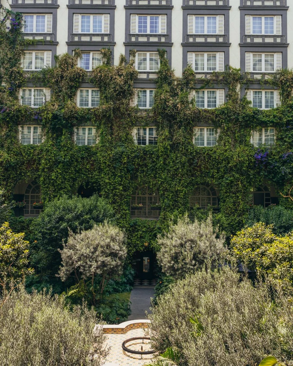 <a href="https://www.instagram.com/fsmexico/p/DWCxDQgETD4/?hl=en&img_index=4">Four Seasons Hotel Mexico City</a>