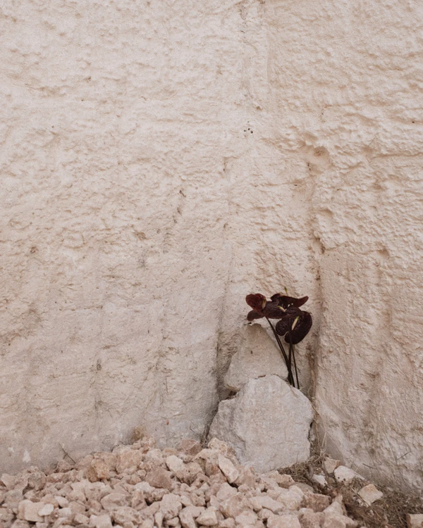 An Intimate Menorca Quarry Wedding with Avant-Garde Design & Vintage Bridal Looks