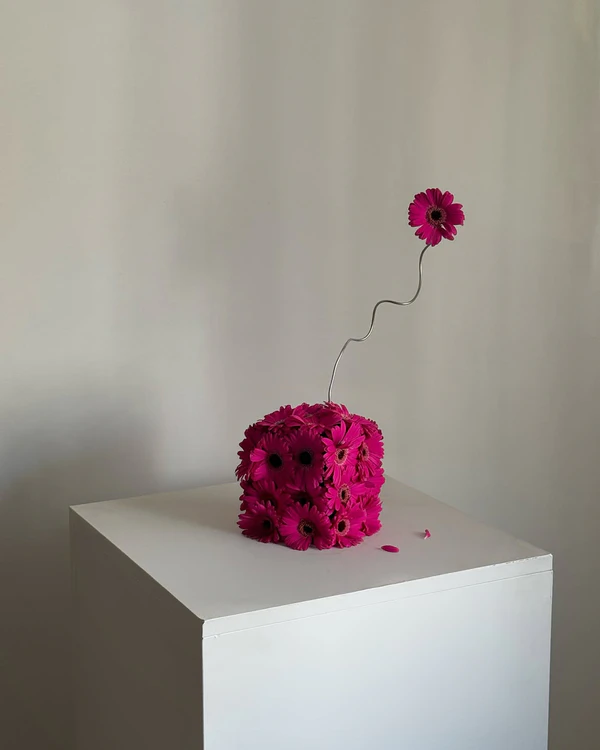 Trend: Pink Petals — photo 2