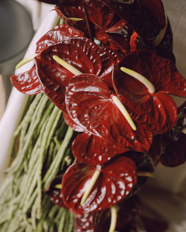 Moody Red Romance