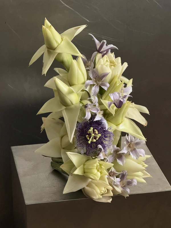 <a href="https://www.instagram.com/p/Dc5wE1hFPzc/?img_index=3">Pierre Capati</a>