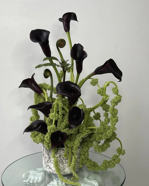 38 Calla Lily Arrangement Ideas