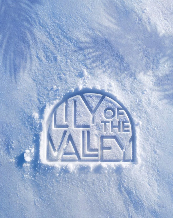 <a href="https://www.instagram.com/p/DalC8_3ok_S/">Lily of the Valley</a>