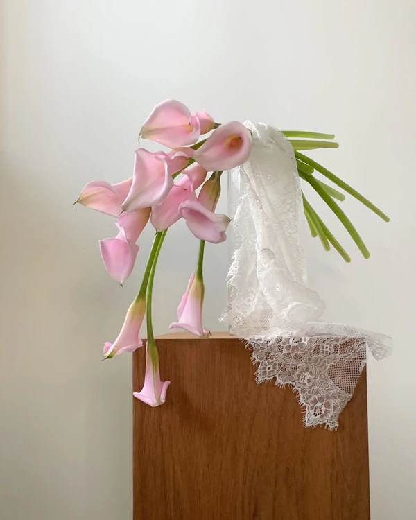 <a href="https://www.instagram.com/p/DWAsjNEAakS/?img_index=6">Orf. Flower</a>
