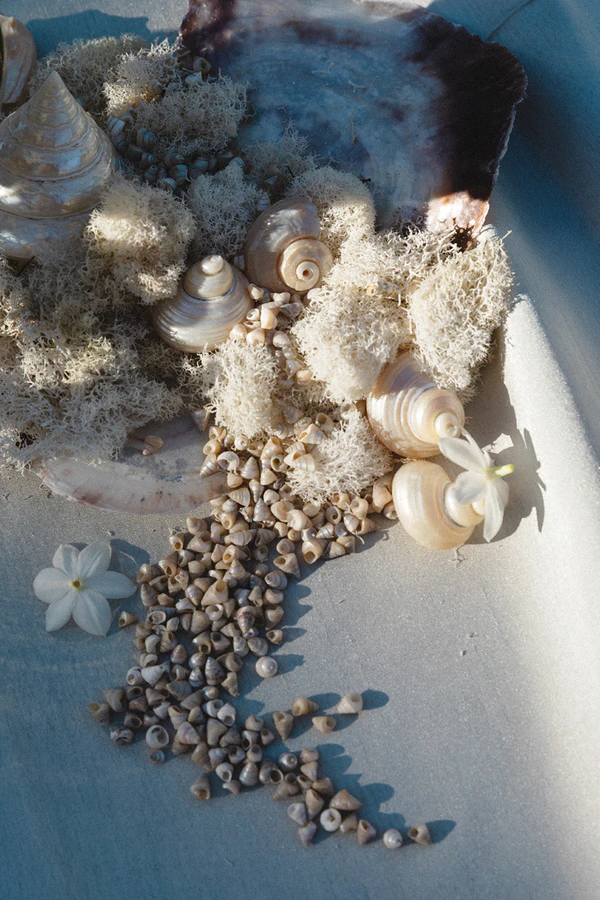 A Dreamlike Siren-Inspired Wedding With Oceanic Details in California