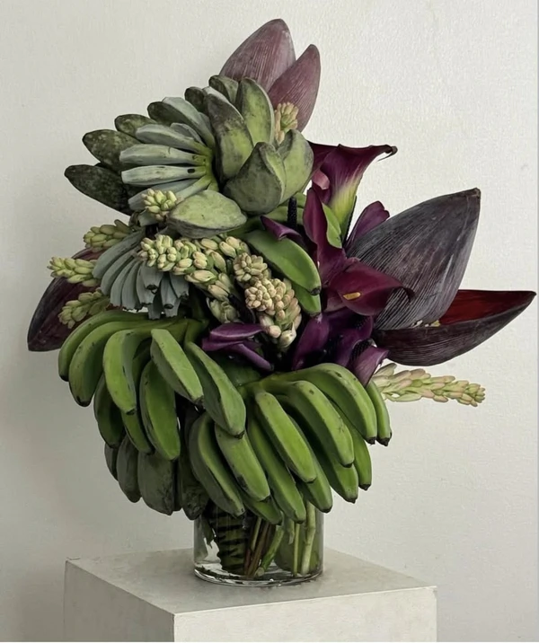 <a href="https://www.instagram.com/p/DV8SgkwE3U7/?img_index=2">Pierre Capati</a>