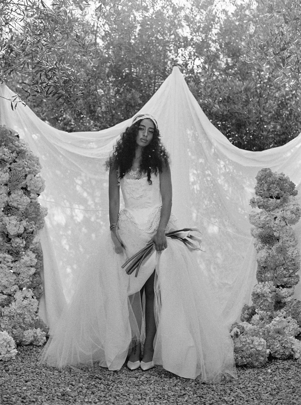 Meet Me Under The Olive Trees