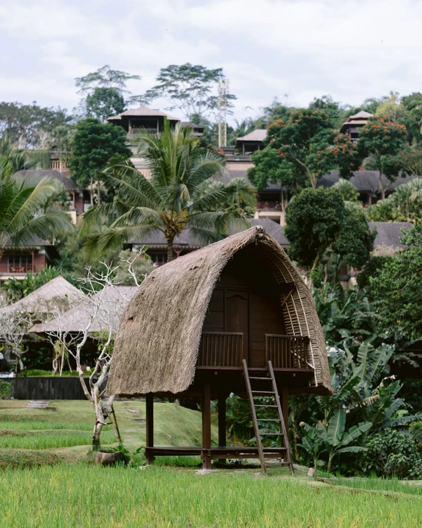 7 Luxe Bali Resorts for Your Dream Tropical Honeymoon