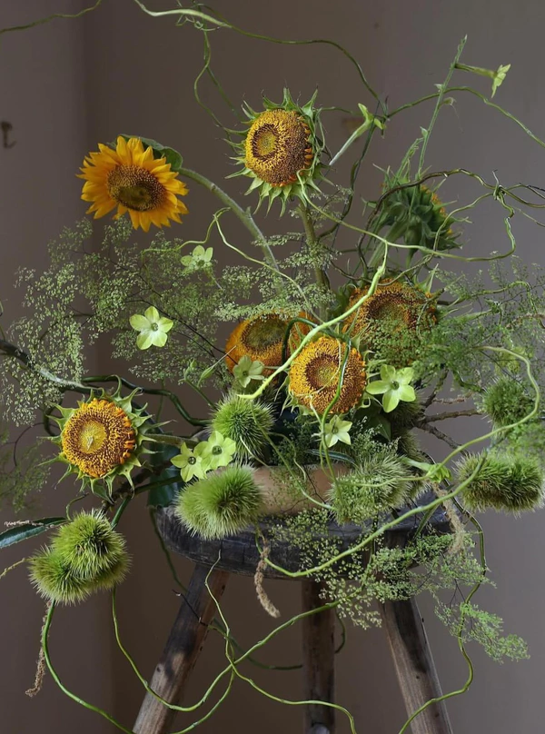 <a href="https://www.instagram.com/hart_floral/p/C9QAmN2ItAl/">Hart Floral</a>