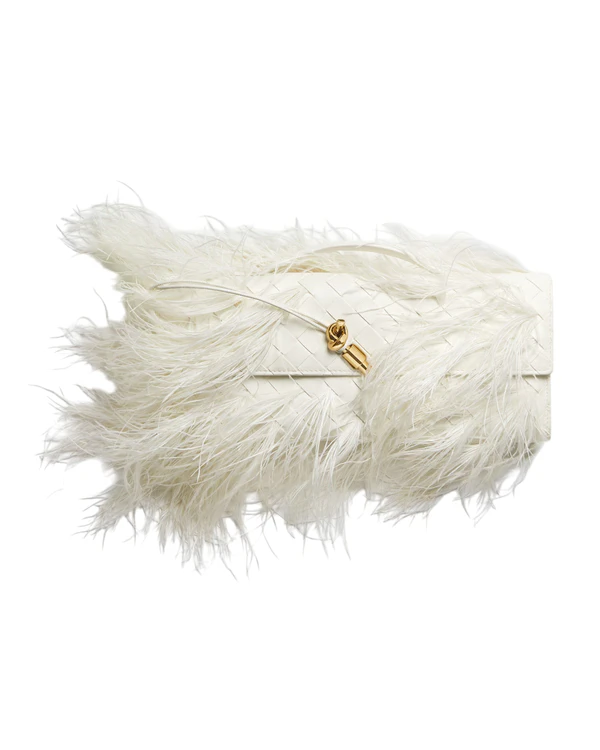<a href="https://www.bottegaveneta.com/en-us/andiamo-clutch-alabaster-867660V6I009537.html">BOTTEGA VENETA Clutch</a>, $6100