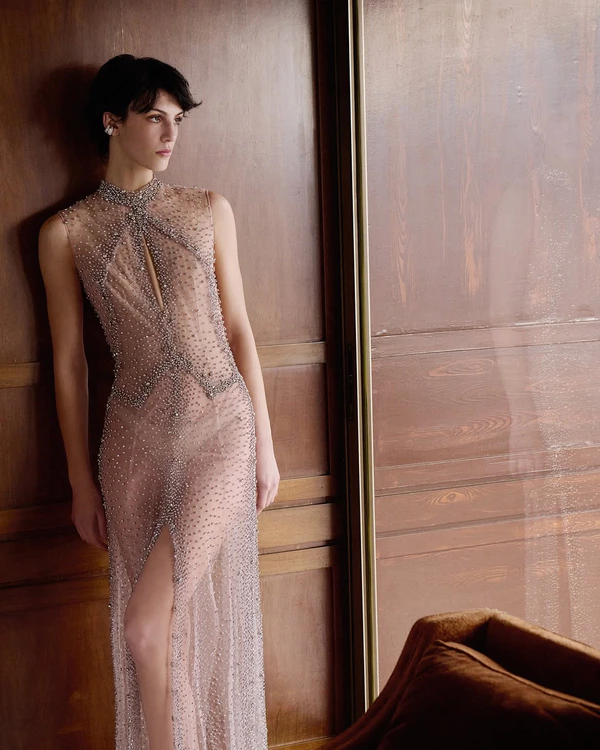 <a href="https://www.net-a-porter.com/en-us/shop/product/costarellos/clothing/gowns/serena-crystal-embroidered-tulle-gown/46376663163110649">COSTARELLOS Dress from Net-A-Porter</a>, $3,455