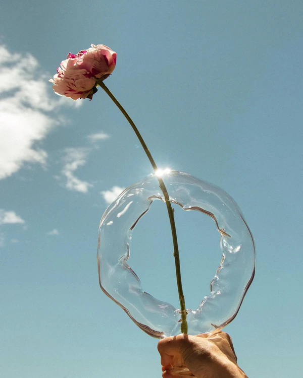 <a href="https://www.valeriavasi.com/shop/p/limited-edition-liquid-vase-transparent">VALERIA VASI Liquid Vase</a>, $360