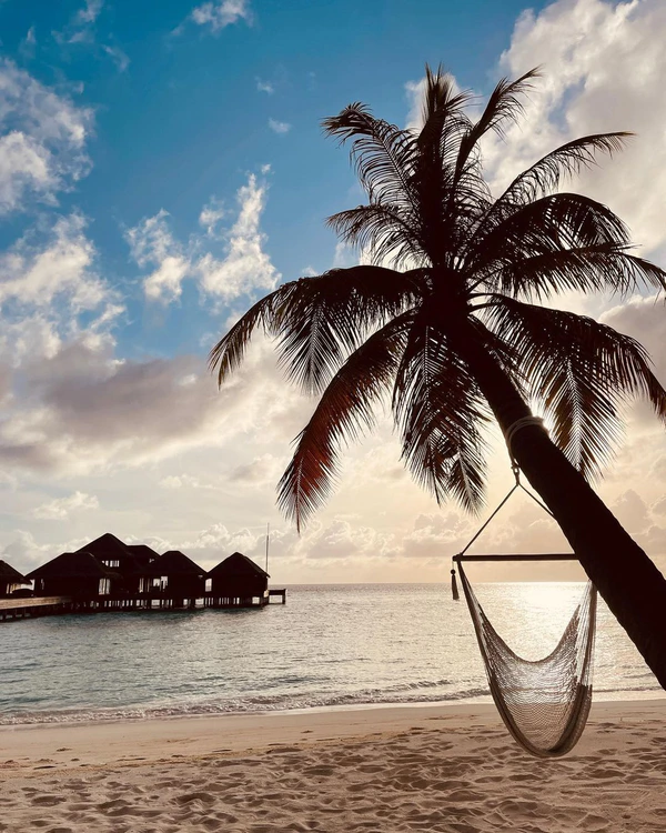 Best Things to Do on a Maldives Honeymoon