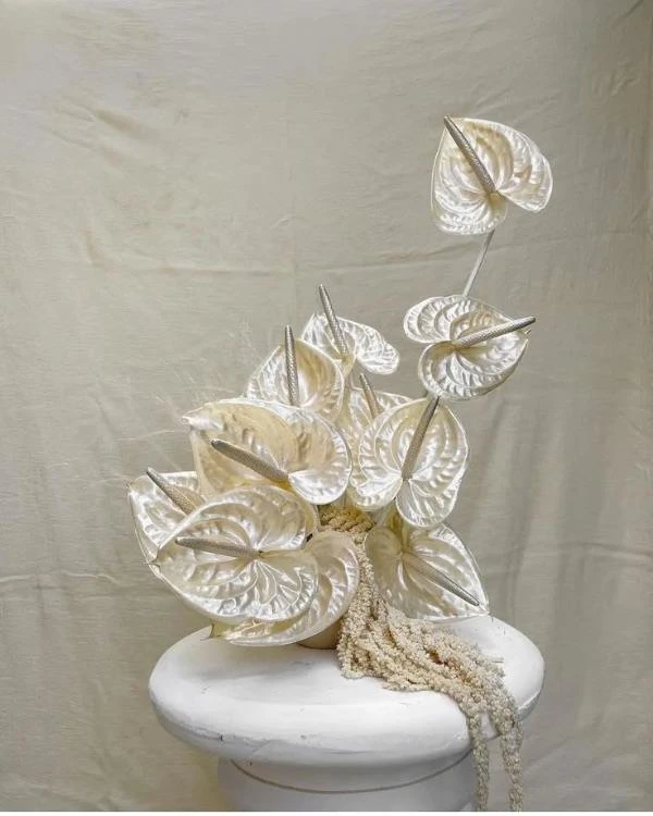 10 Flower Varieties Trending for 2025 Weddings