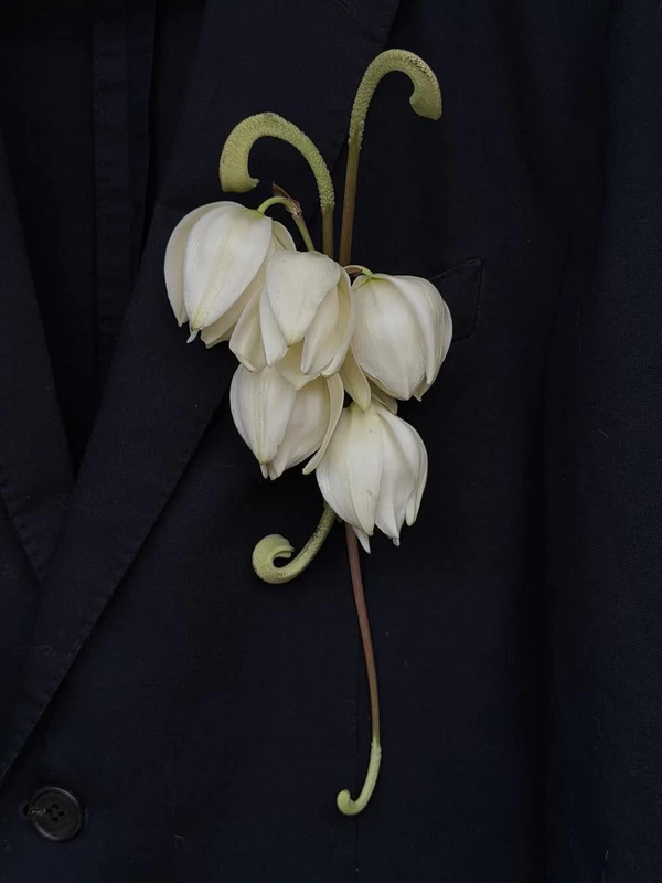 <a href="https://www.instagram.com/p/DdlJbHZCLZy/?stkn=YzlhMzIwOXUzcWI4">Blooms Uncut</a>