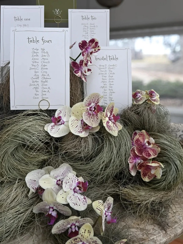 <a href="https://www.instagram.com/p/DVdOBm2EjUW/?img_index=1">The Naked Florist﻿</a>