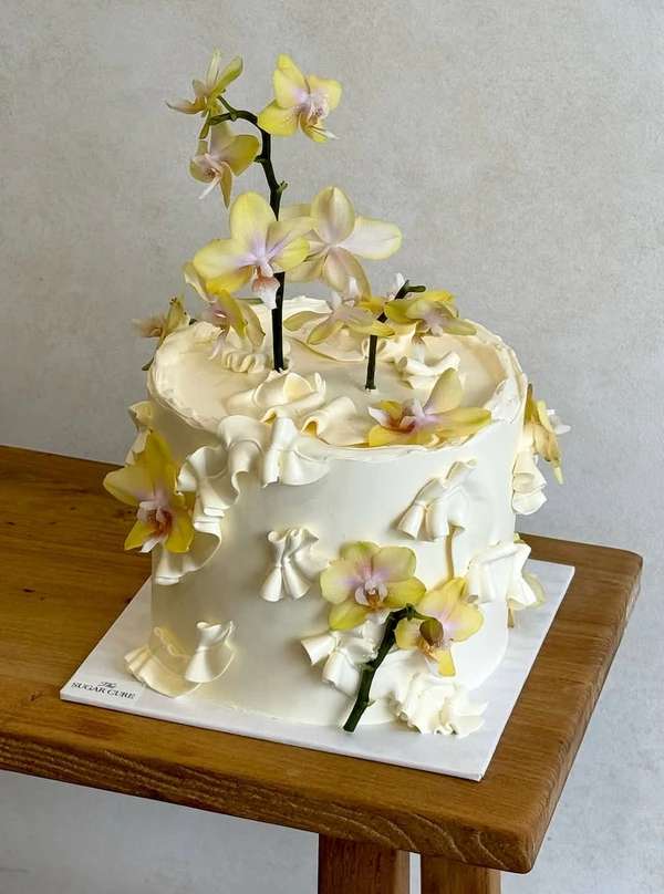 <a href="https://www.instagram.com/p/DHT3v9mSJwg/?img_index=1">The Sugar Cure</a>