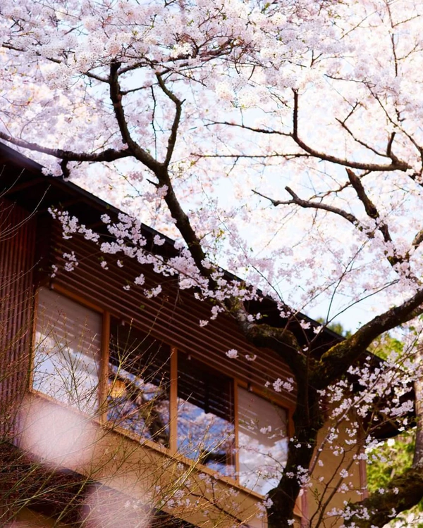 Offbeat Honeymoon Destinations