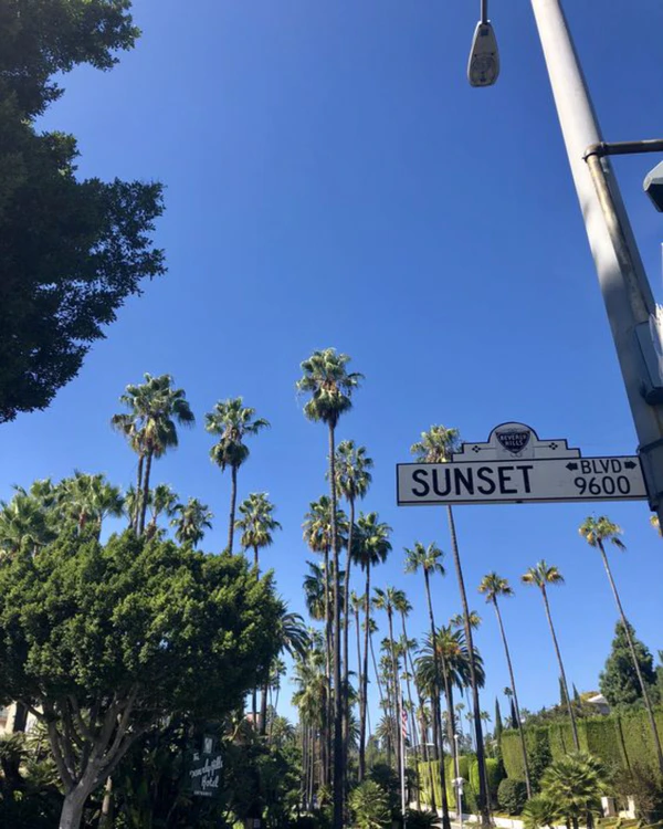 Best Things to Do in Hollywood: 7 Attractions Couples Will Love