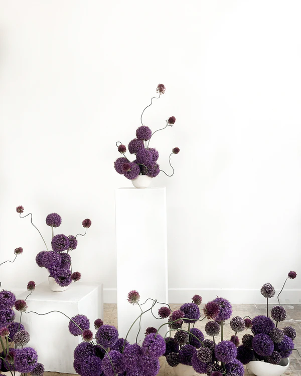 <a href="https://www.instagram.com/__.leone" target="_blank">Leone Floral Studio</a>