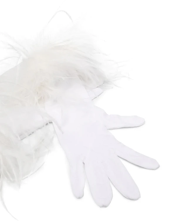 Wedding Accessories with Feathers for Brides