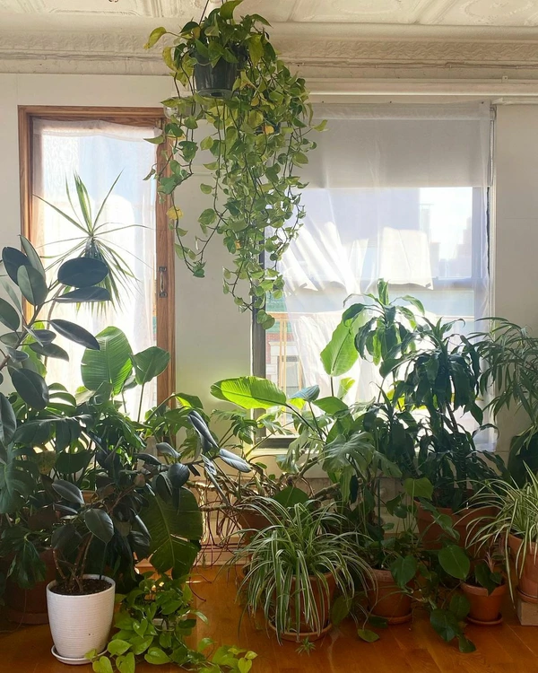 5 Yoga Studios in New York to Relieve Pre-Wedding Stress