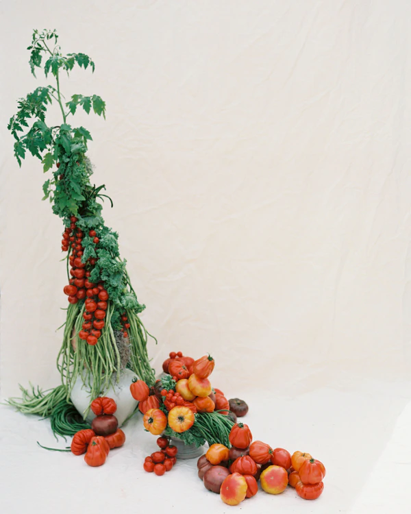 The Garden Harvest