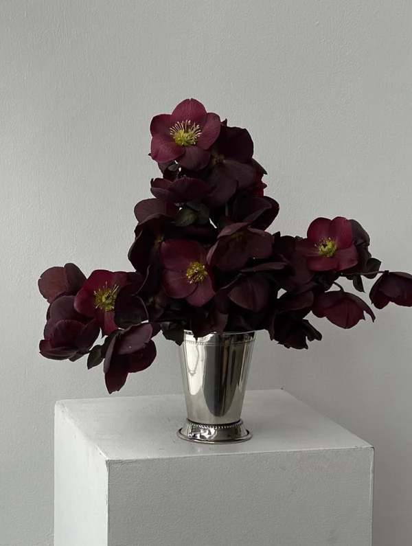 <a href="https://www.instagram.com/p/DeBLmB8nZyr/?img_index=1">Evolve Floral By Shae</a>
